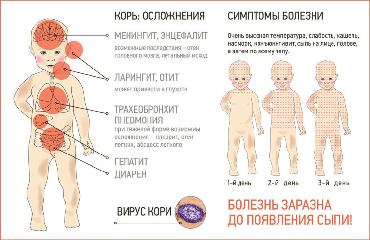 Информация. Информация.